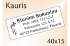 Kauris Tarra 40 x 15 mm